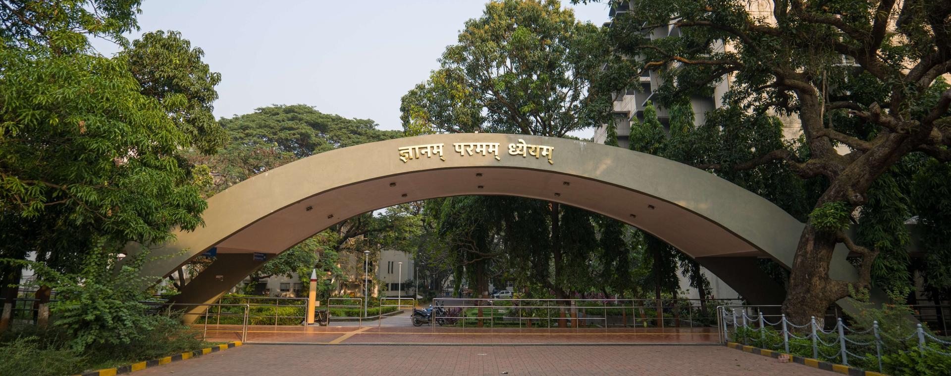 Background Image 3